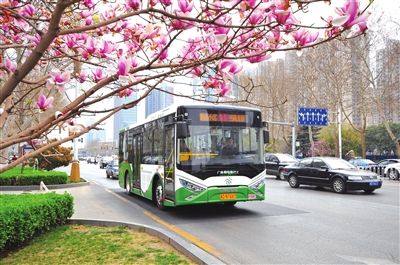 1月1日：园博动物园公交直通车开通，两条线路优化调整，一条线路恢复运营，增设1处站点